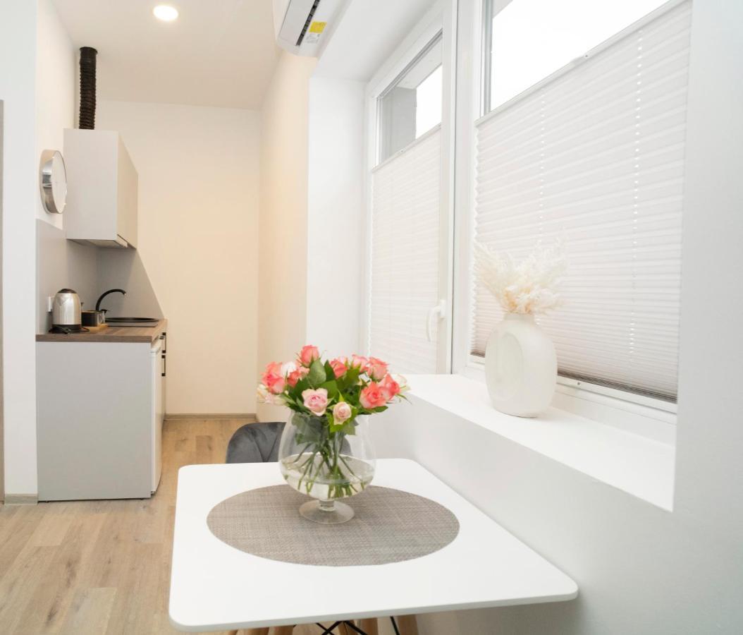 Central Station Apartment No5 考纳斯 外观 照片